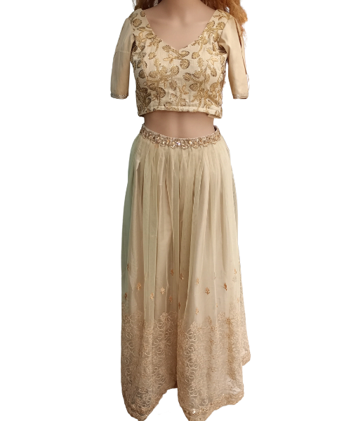 Indian lehenga and blouse