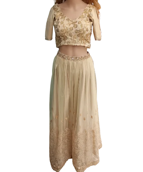 Indian lehenga and blouse